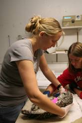 ACNW Wildlife program
